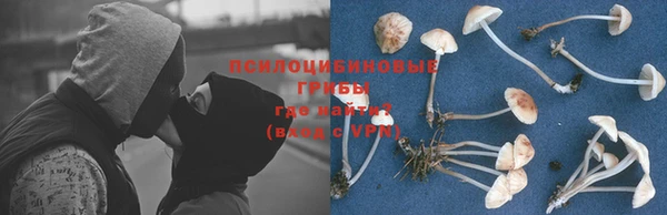 гидропоника Нея