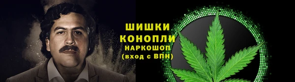 МДПВ Нефтегорск
