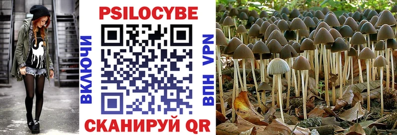 Галлюциногенные грибы Magic Shrooms  OMG как зайти  Эртиль 